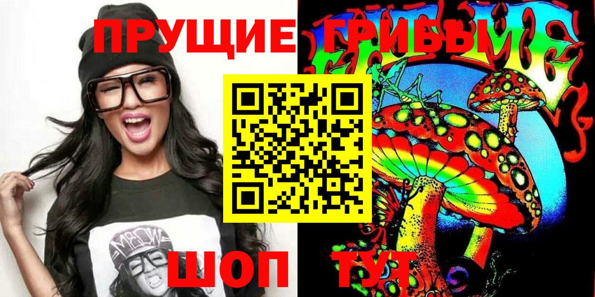 Кинель  Псилоцибиновые грибы MAGIC MUSHROOMS  Вход с VPN 