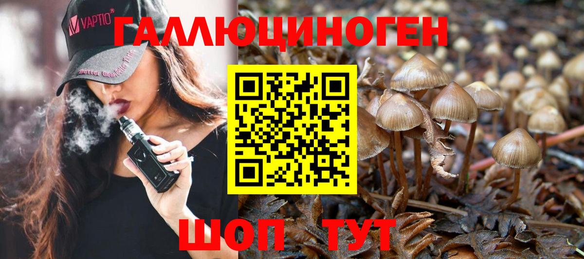 Псилоцибиновые грибы ЛСД Кинель